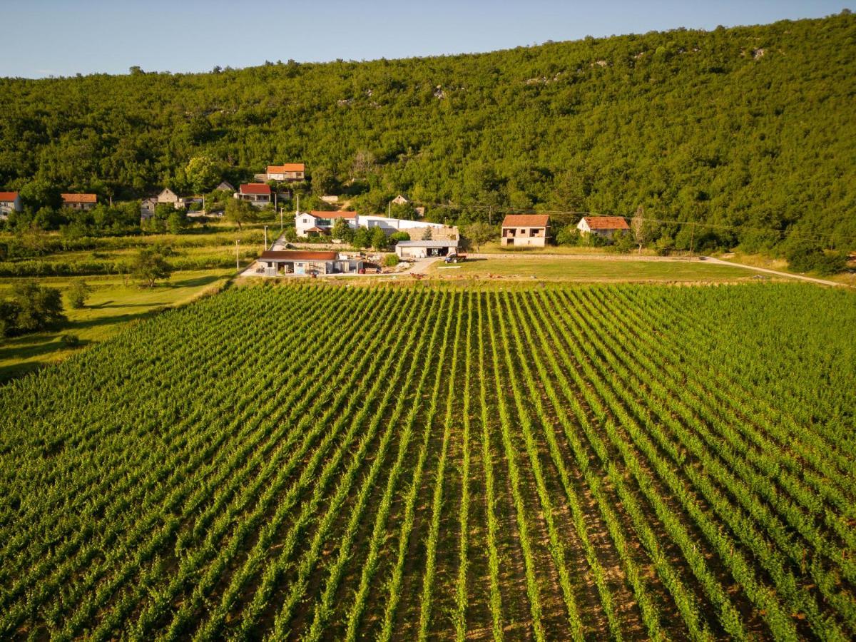 Krolo Villa&Wine Trilj Εξωτερικό φωτογραφία